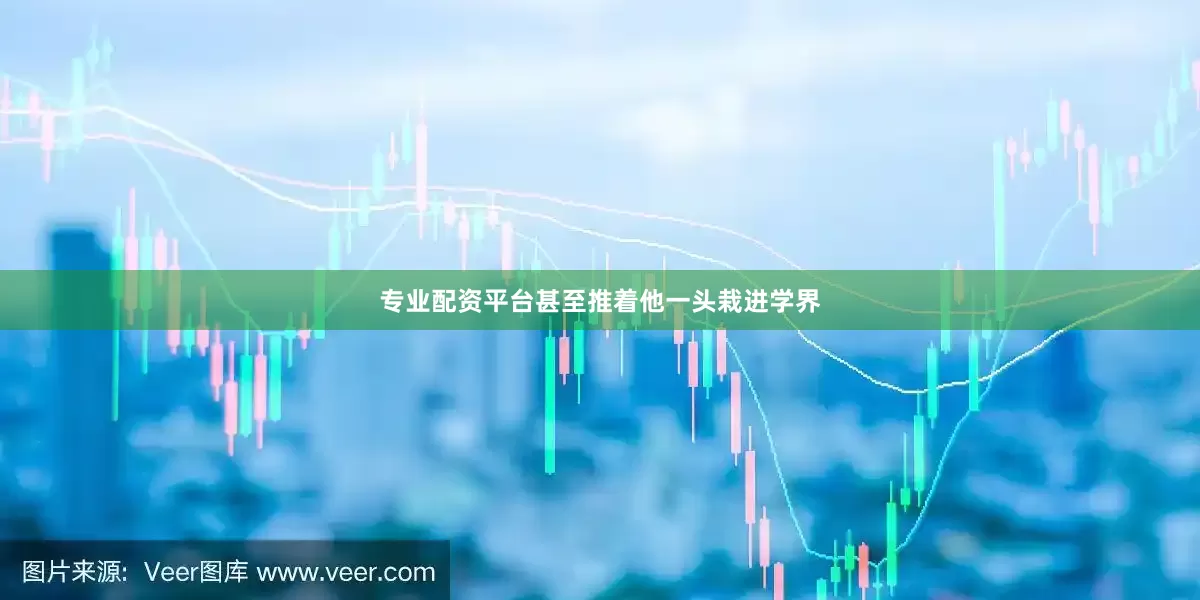 专业配资平台甚至推着他一头栽进学界