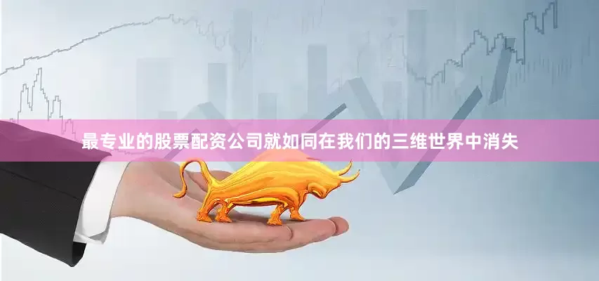 最专业的股票配资公司就如同在我们的三维世界中消失